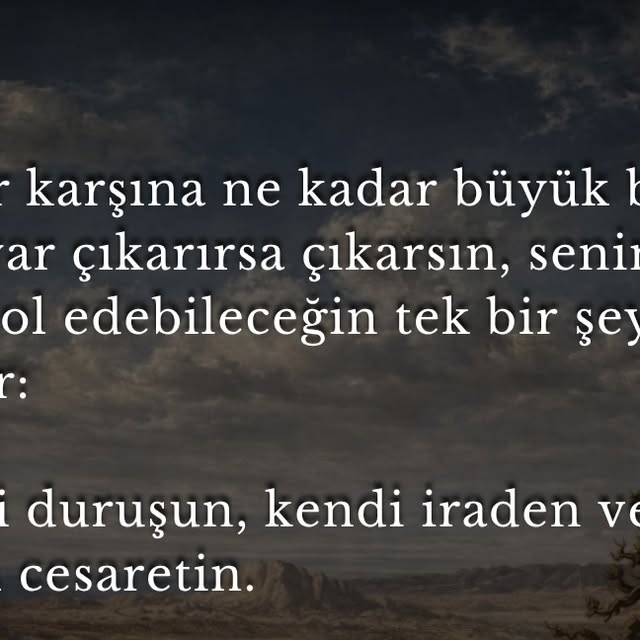 Halil sayındı (@stoizmakademi) • Instagram photo