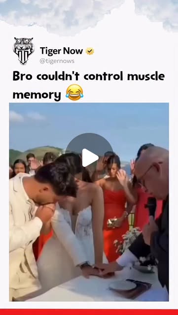Tiger Now (@tigernows) • Instagram reel