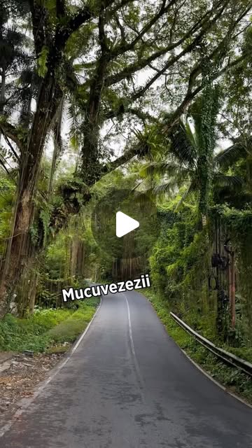 Ebrar Özdemir (@ebrarpolats) • Instagram reel